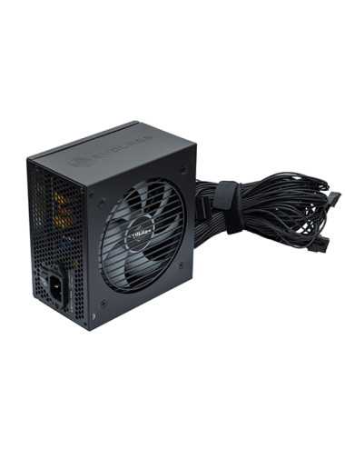 Fuente Gamer Evolabs Supreme 650w 80 Plus Bronze